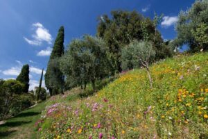 Villa Freya svelata: il giardino perduto della grande avventuriera britannica