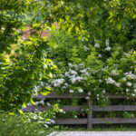 Giardino Privato - Montebelluna (TV)