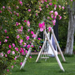 Giardino Privato - Montebelluna (TV)